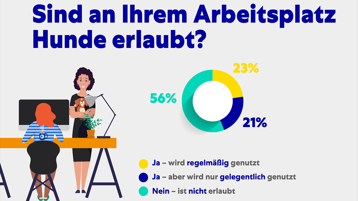 Immer mehr Arbeitgeber erlauben das Haustier im Büro.