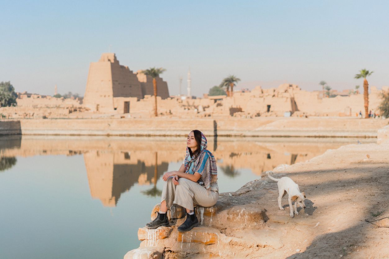 In ganz Ägypten sollen bald nur noch zehn Hunderassen erlaubt sein.