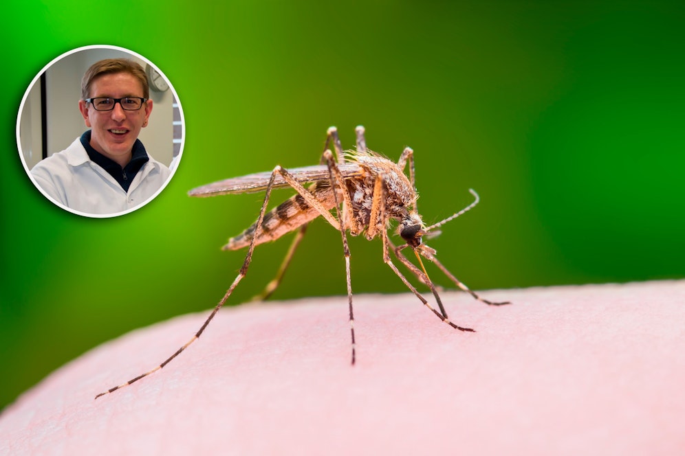 Parasitologe Hans-Peter Führer warnt: 