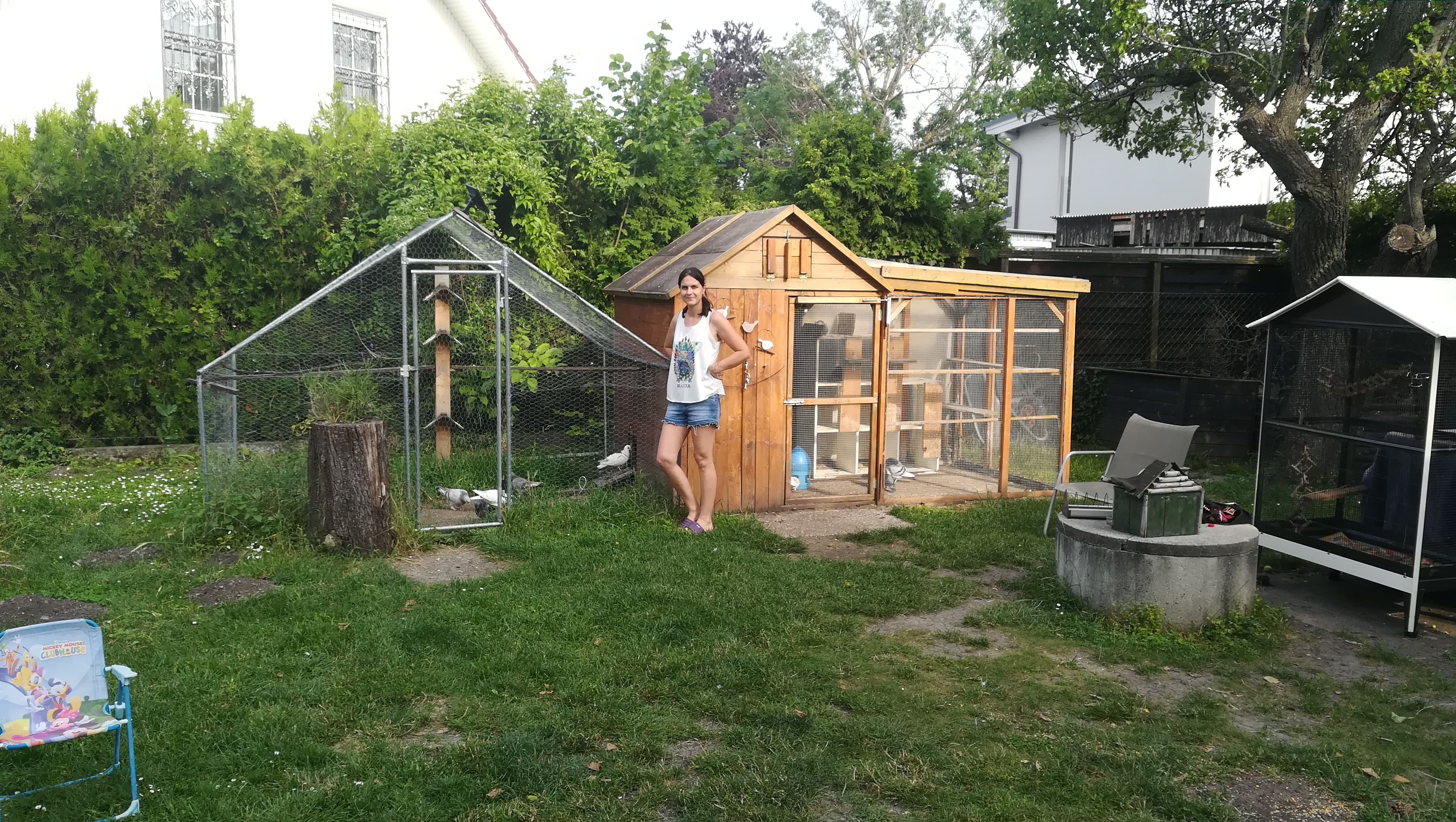 Die Tauben befinden sich in dieser Voliere.