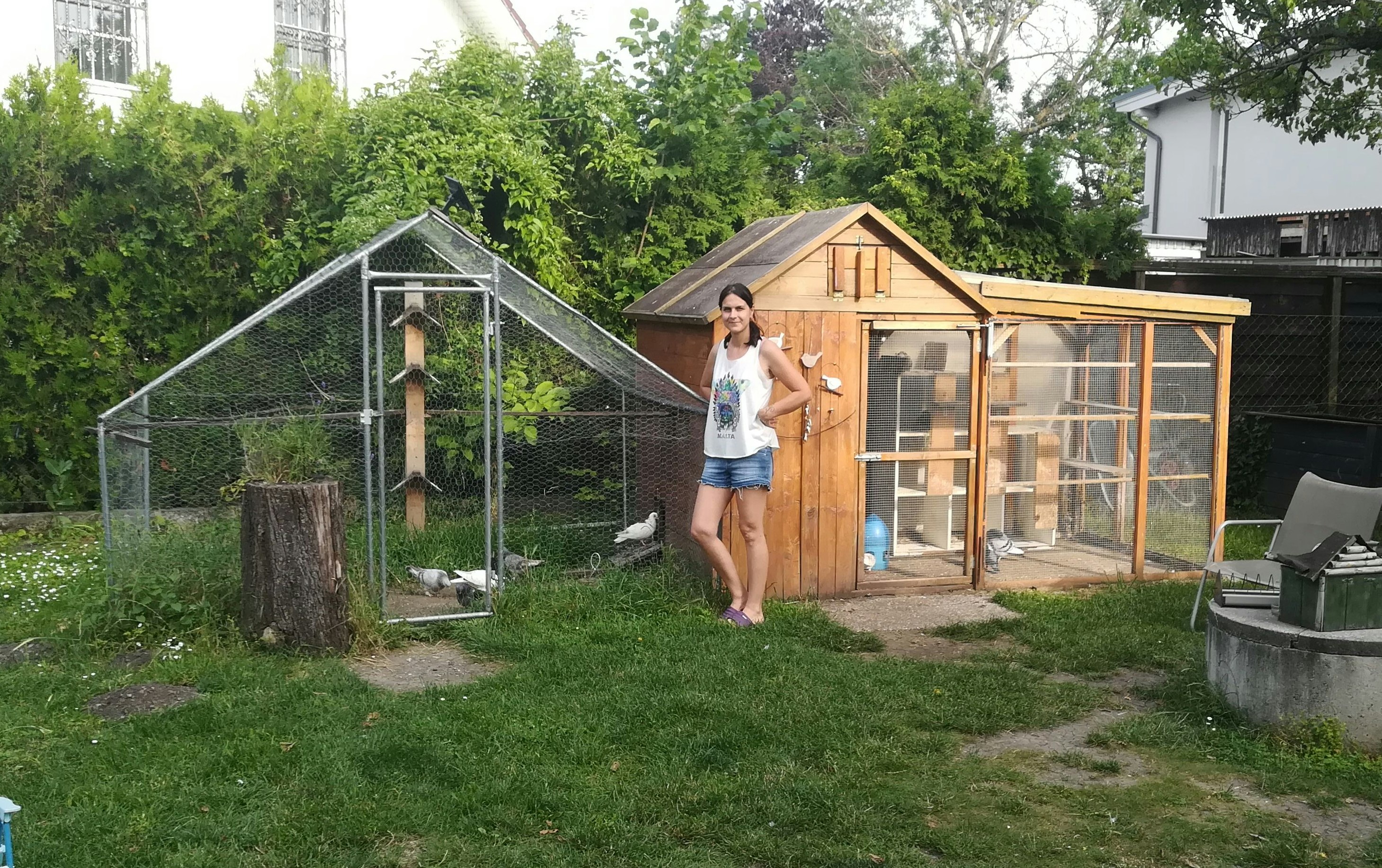 Die Tauben befinden sich in dieser Voliere.