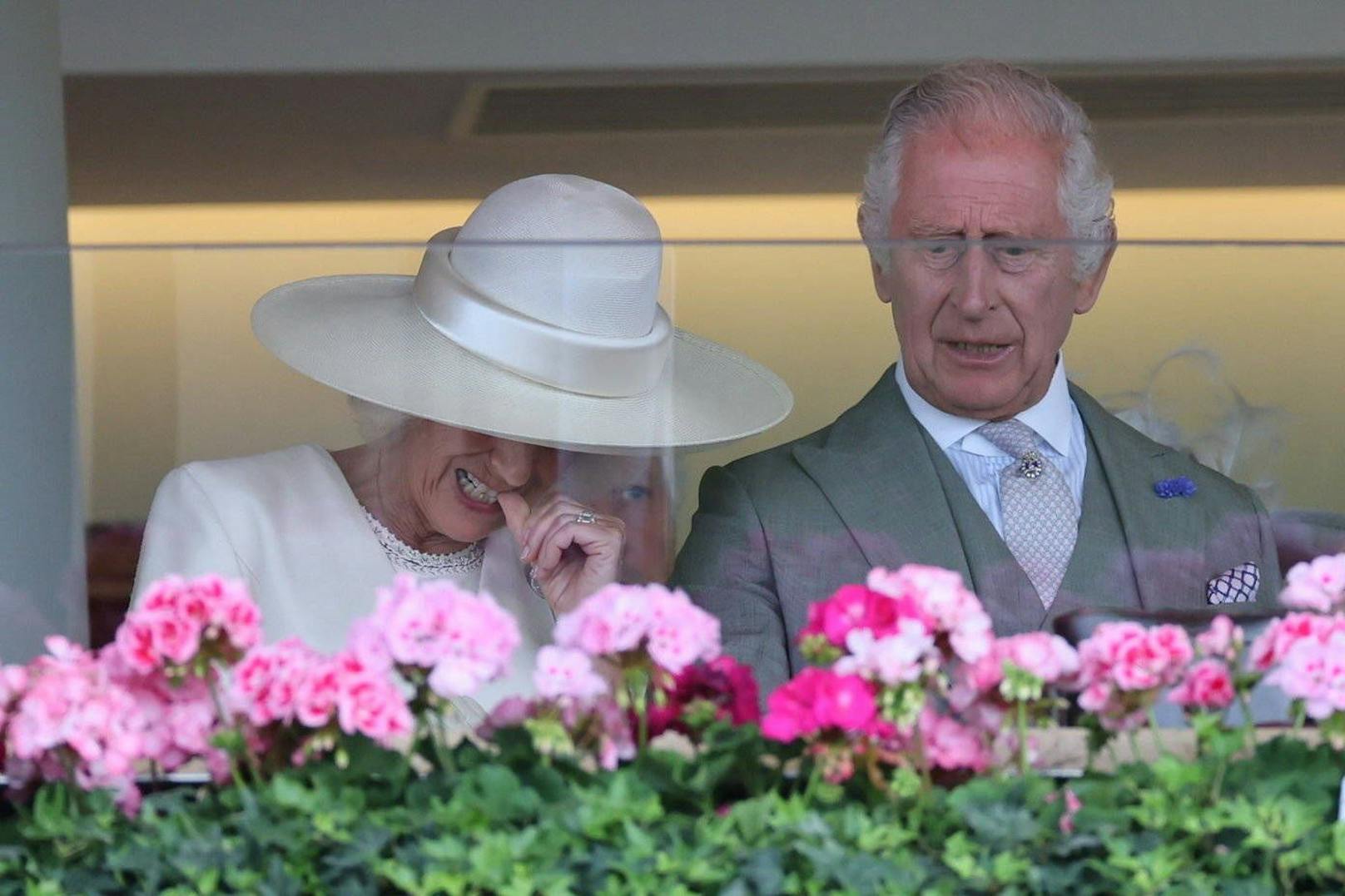 So angespannt, wirkten die beiden Royals nicht mal während ihrer Krönung. Camilla wurde beim Rennen sogar beim Nägelkauen erwischt.