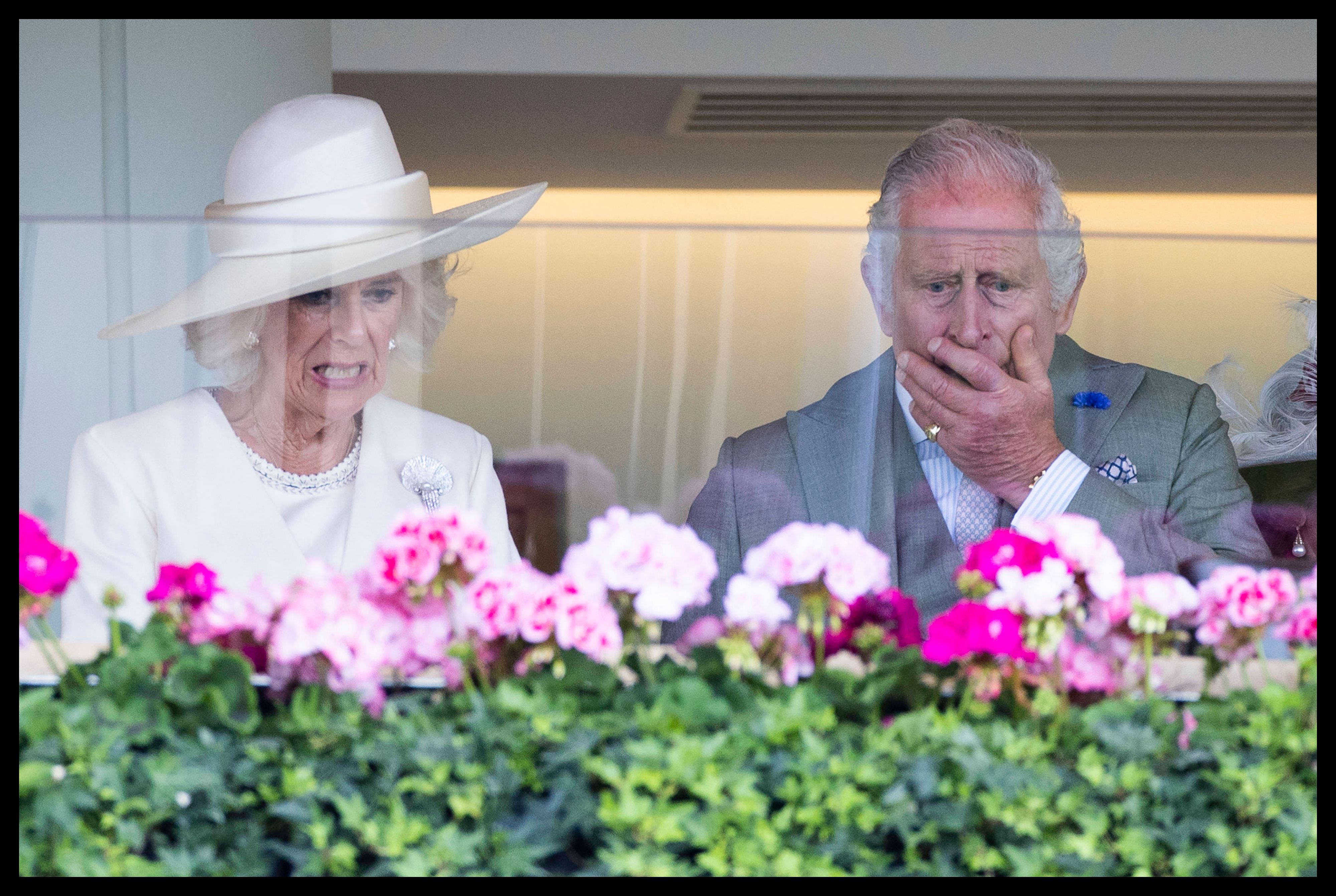 King Charles III und Queen Camilla in ihrer Royal Box am 
