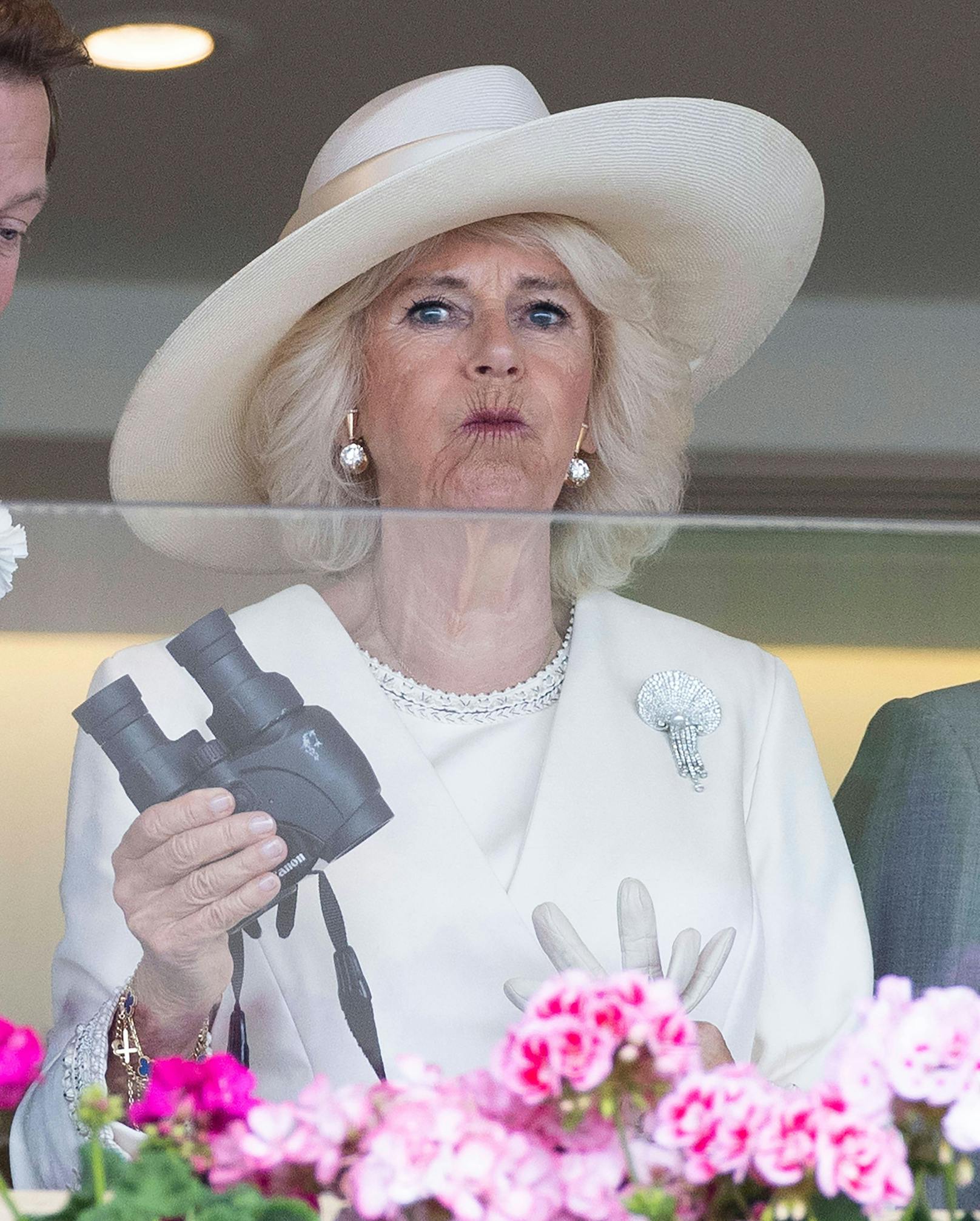 Das Ergebnis muss von Camilla und dem König erst mal verdaut werden. Vielleicht haben sie ja mit einem ihrer neun weiteren Pferde in den kommenden Tagen mehr Glück?