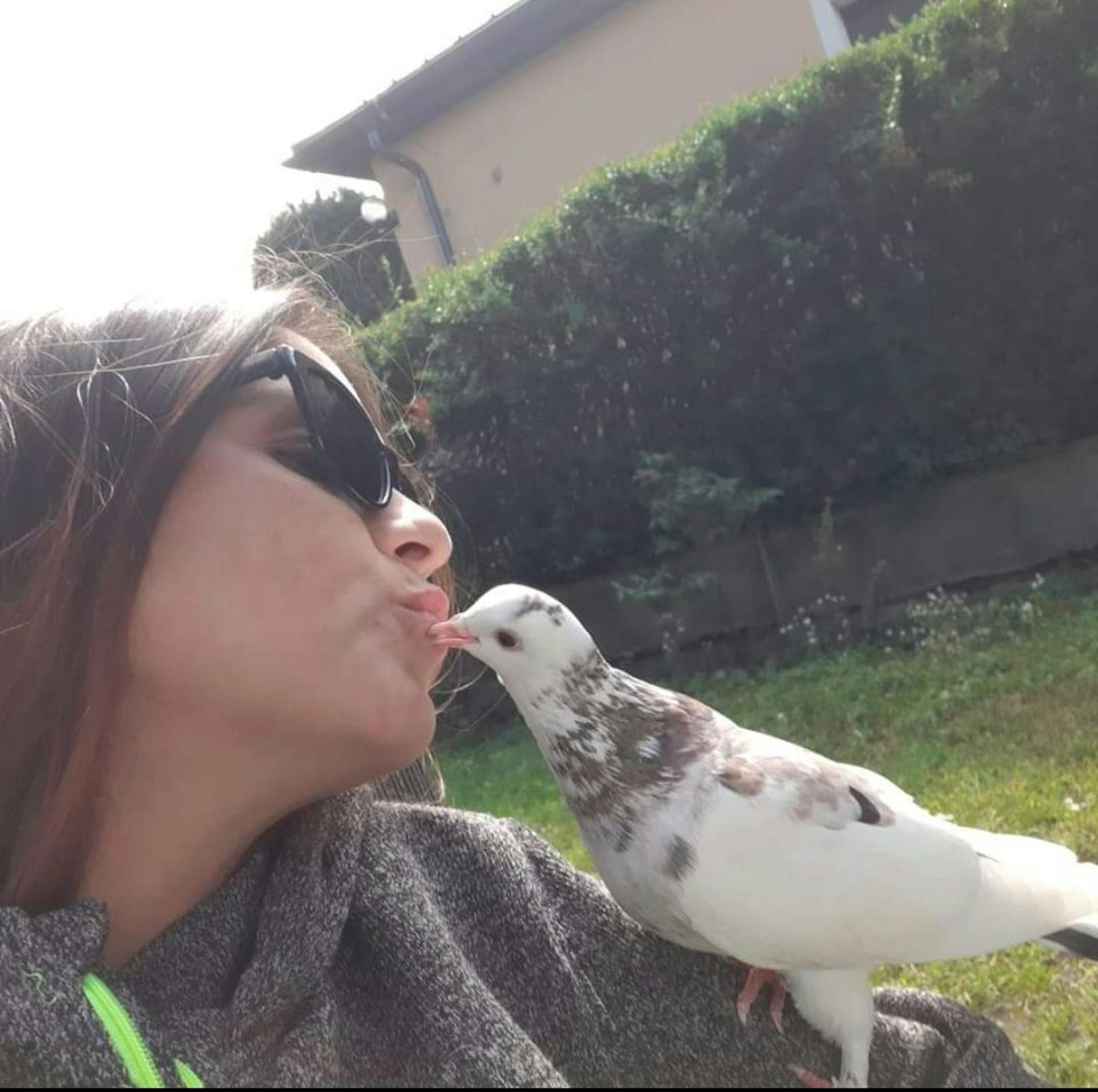 Manuela R. liebt ihre Tauben sehr.
