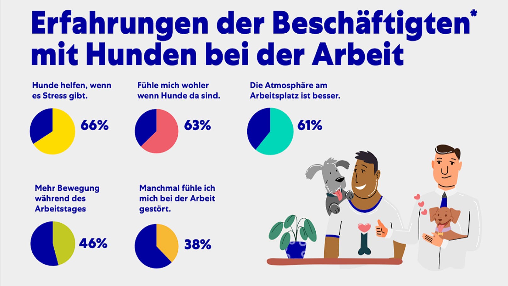 Die meisten profitieren von einem Hund im Büro.