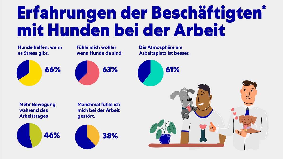 Die meisten profitieren von einem Hund im Büro.