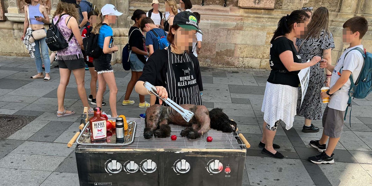 Sovereign kage Menagerry Veganer grillen "Hund" bei 30 Grad in Wiener City - Leser | heute.at