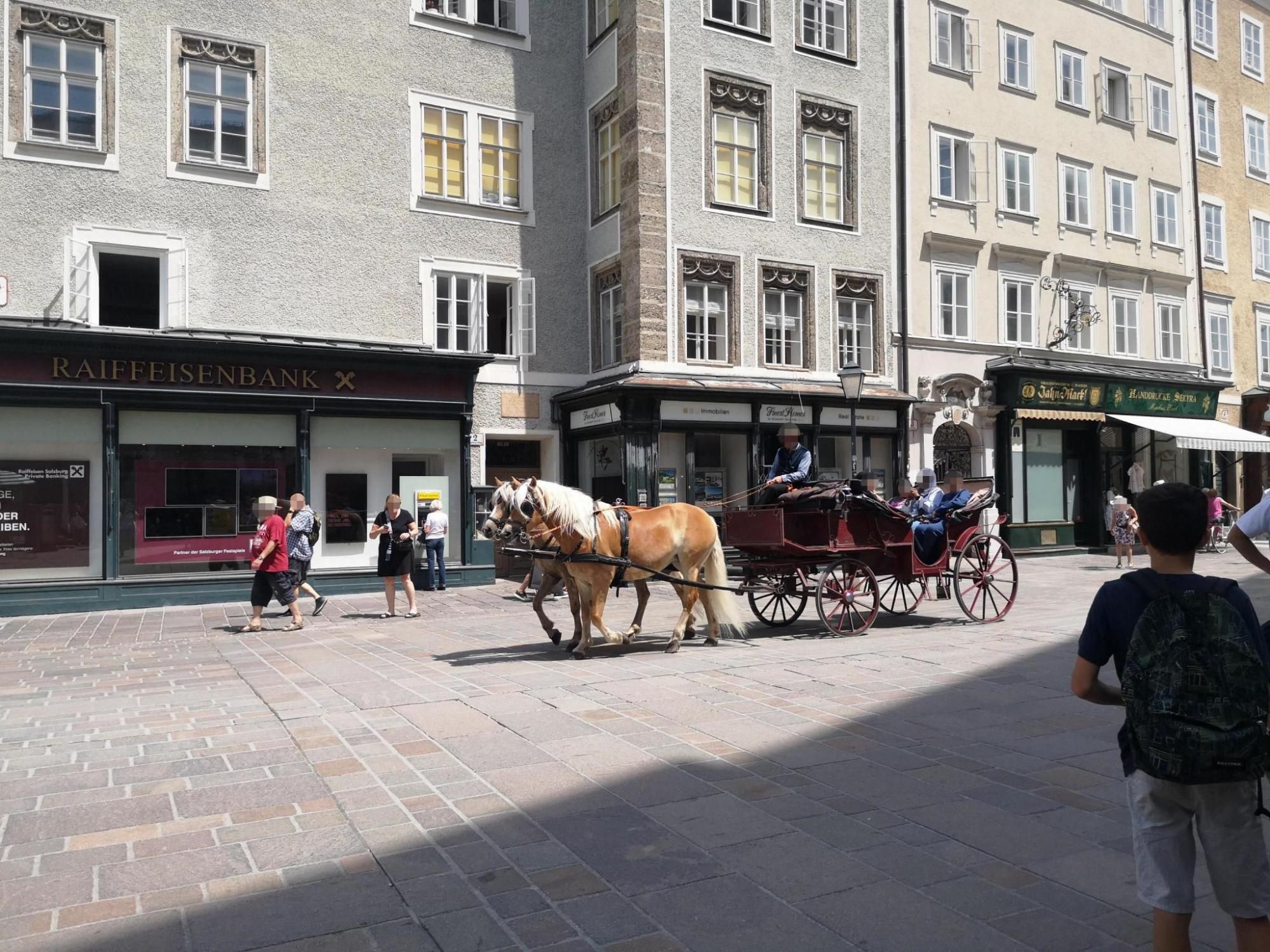 In Salzburg gibt es keine Hitzefrei-Regelung für Fiaker.&nbsp;