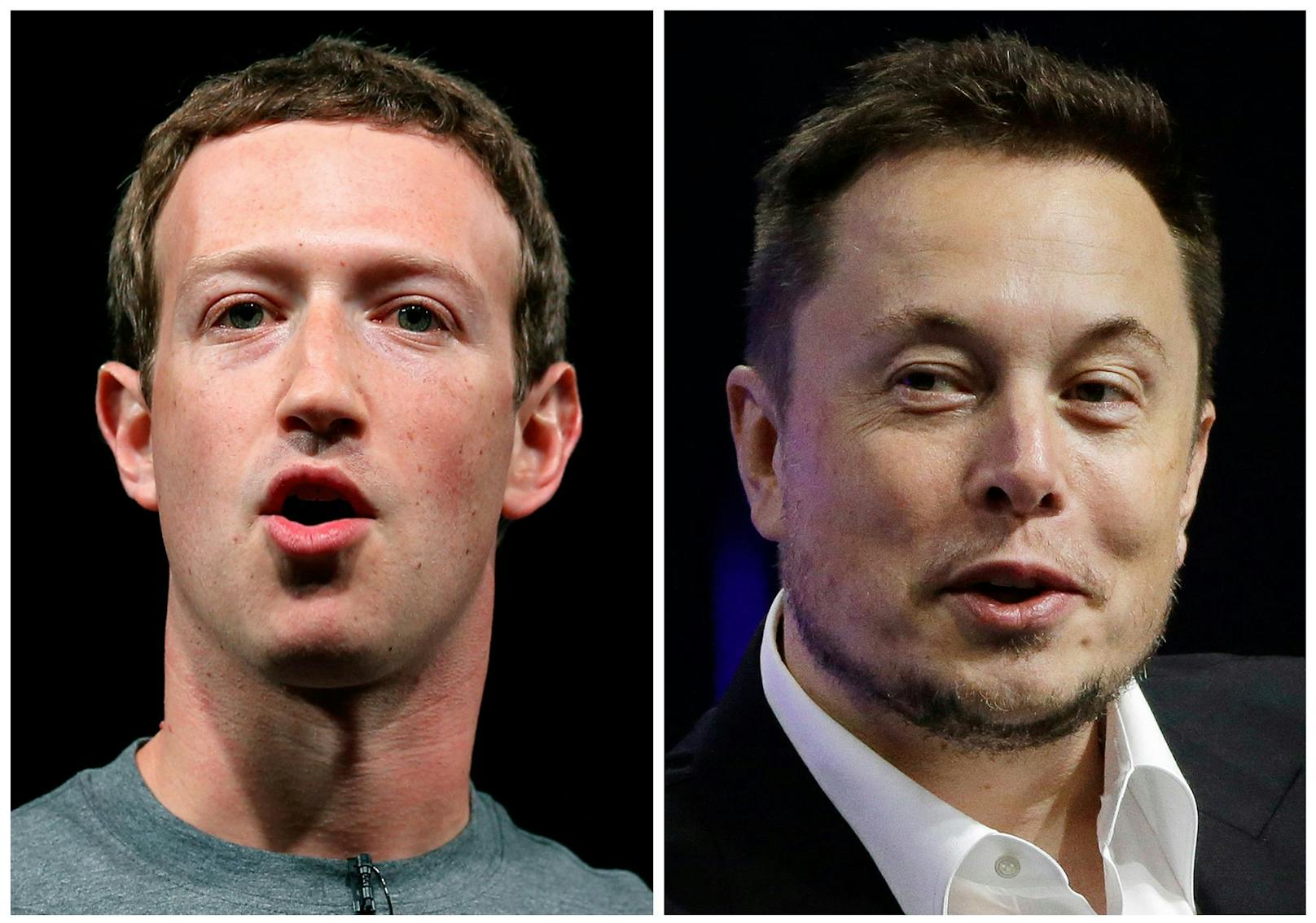 Mark Zuckerberg und Elon Musk wollen gegeneinander in den Ring steigen. 