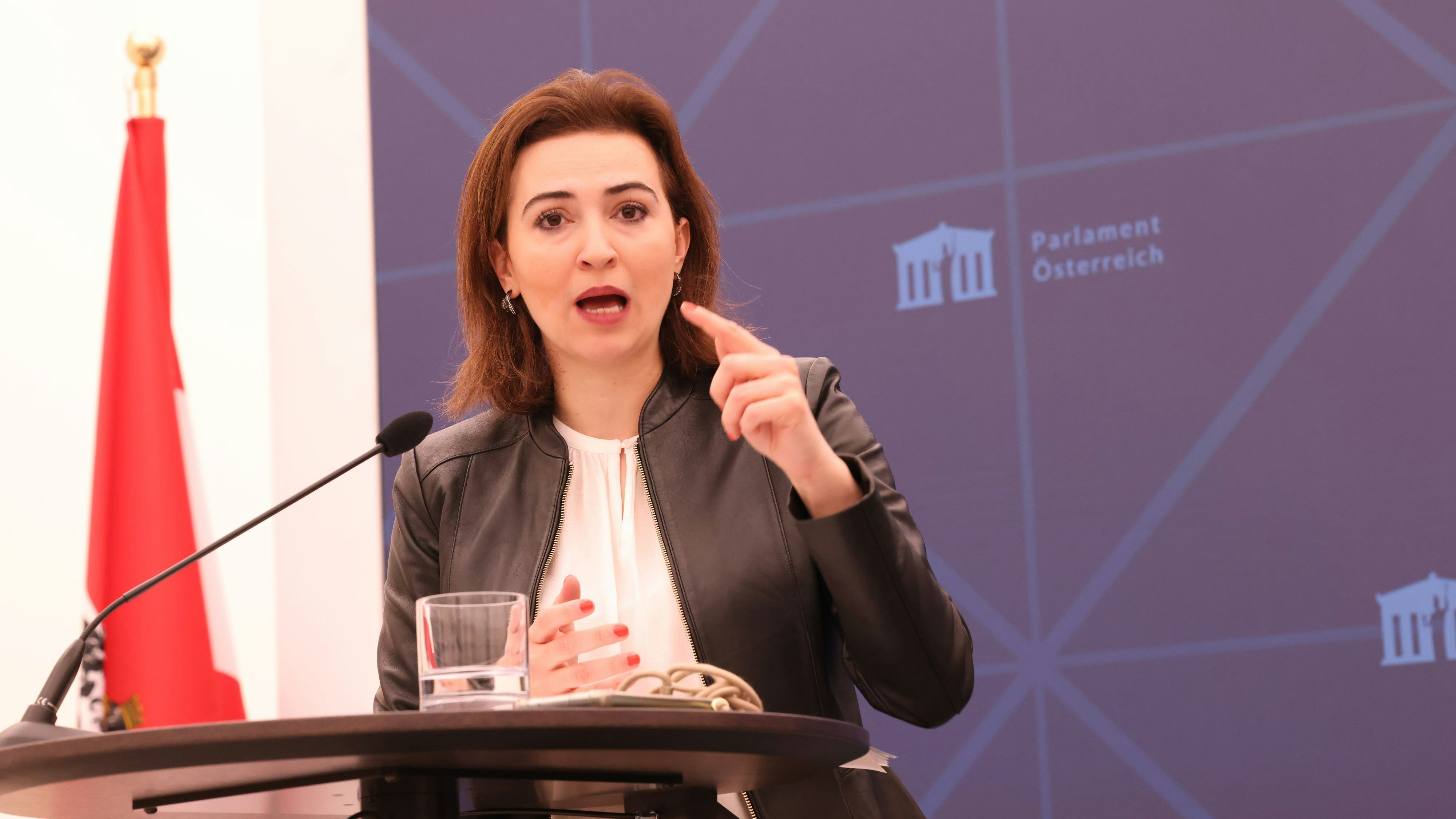 Justizministerin Alma Zadic (Grüne) ließ das Verfahren gegen den Journalisten stoppen.