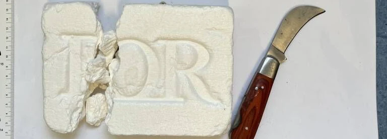 Das sichergestellte Kokain