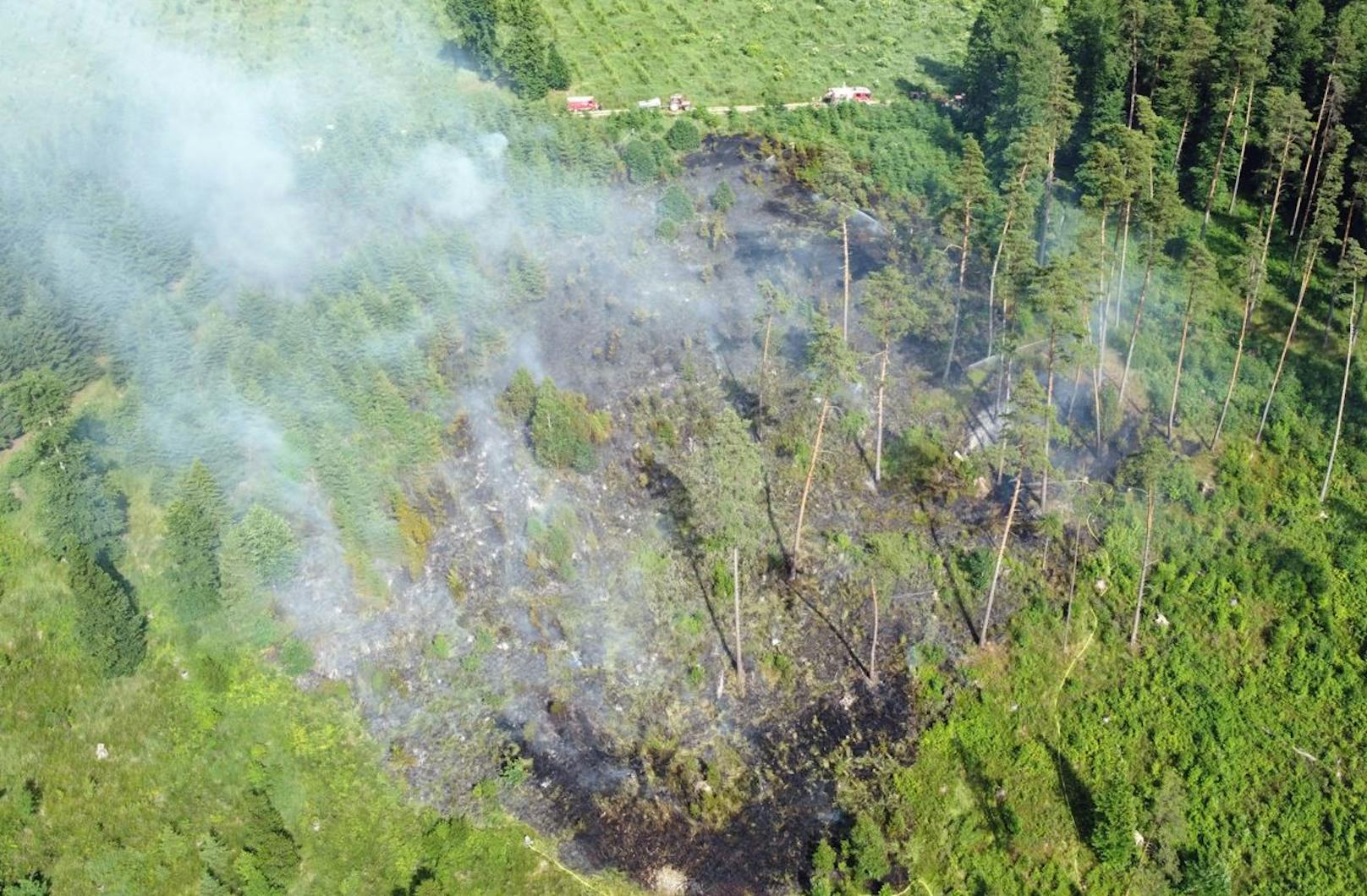 Die Feuerwehr konnte ein Übergreifen der Flammen auf ein weiteres Waldstück verhindern.