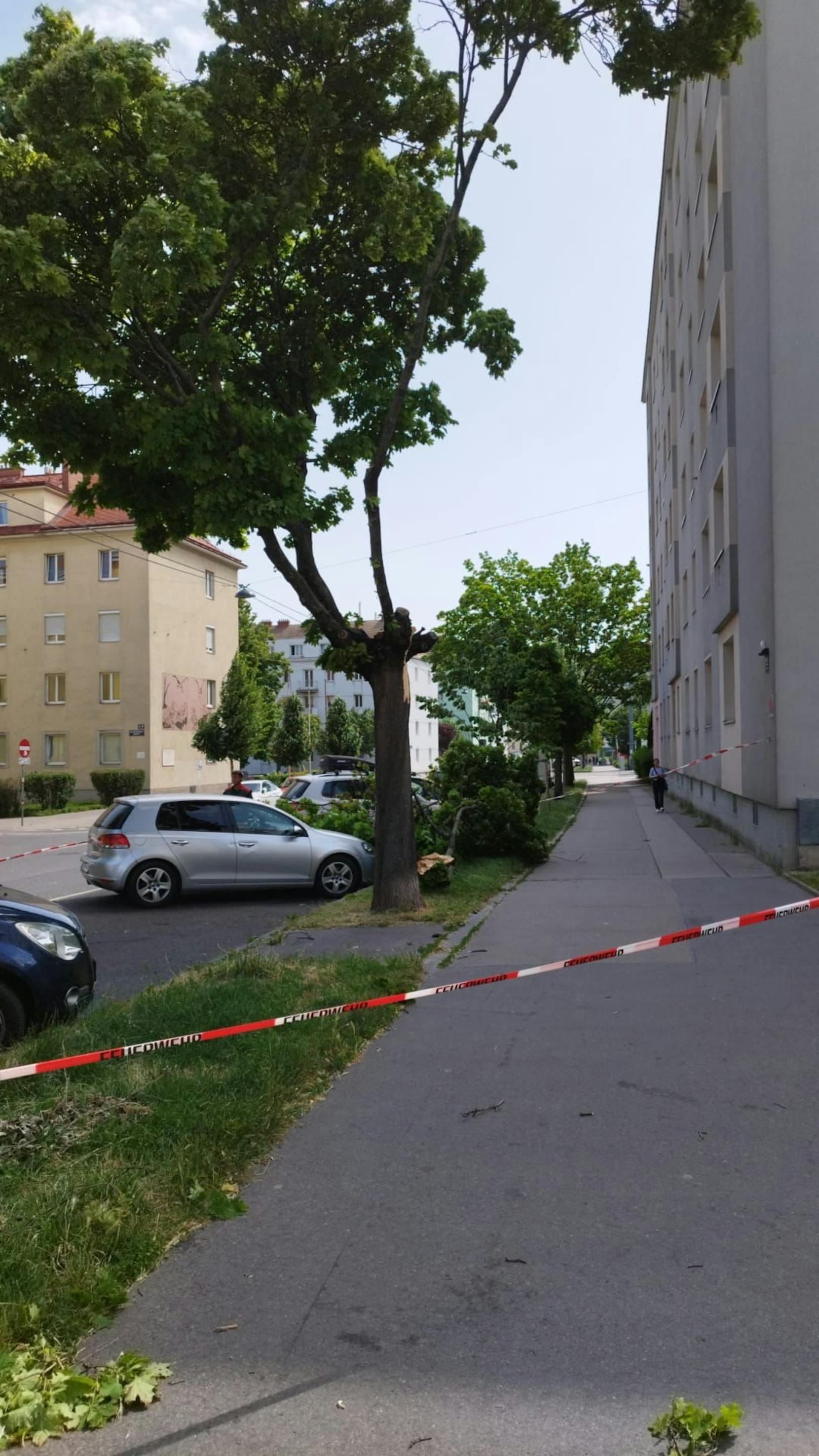 Auch in Wien-Favoriten stürzten bereits Bäume – die Feuerwehr ist im Einsatz.