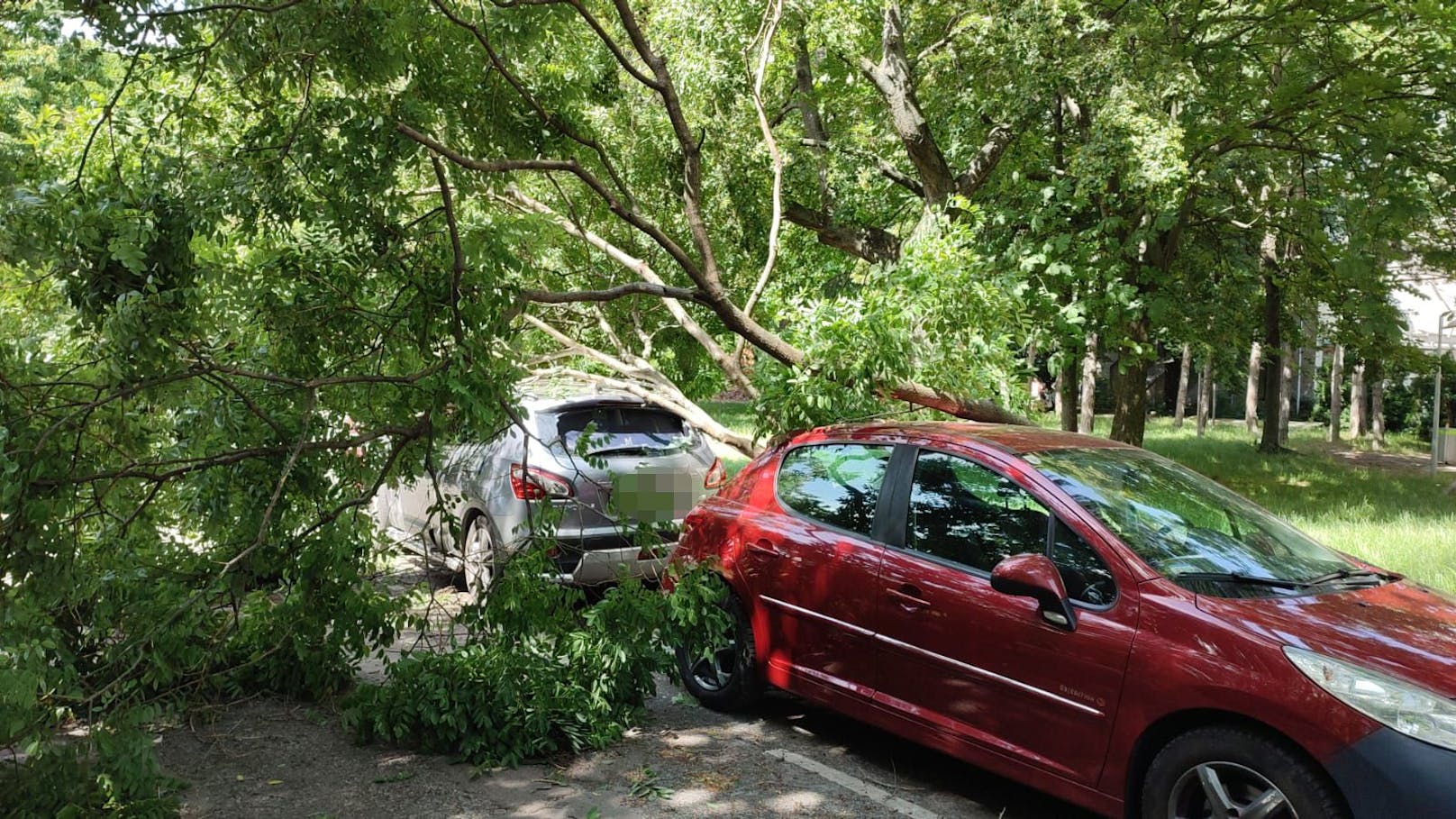 Erneut rollt eine <a data-li-document-ref="100277801" href="https://www.heute.at/s/unwetter-warnung-oesterreich-nach-hitze-kommen-heftige-hagel-gewitter-100277801">Gewitter-Walze</a> über Teile des Landes.