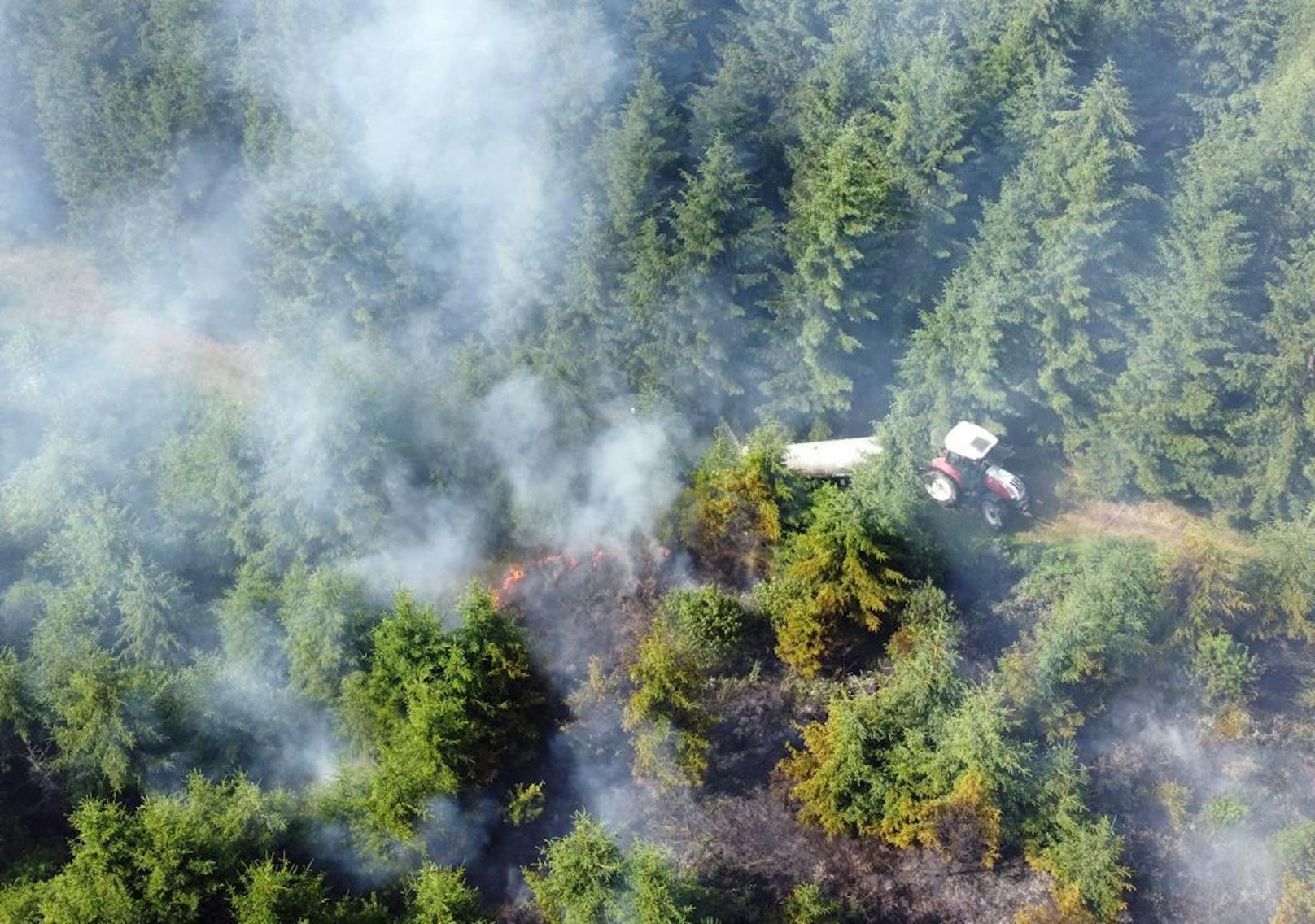1 Hektar Wald in Brand! Wind erschwerte Löscharbeiten