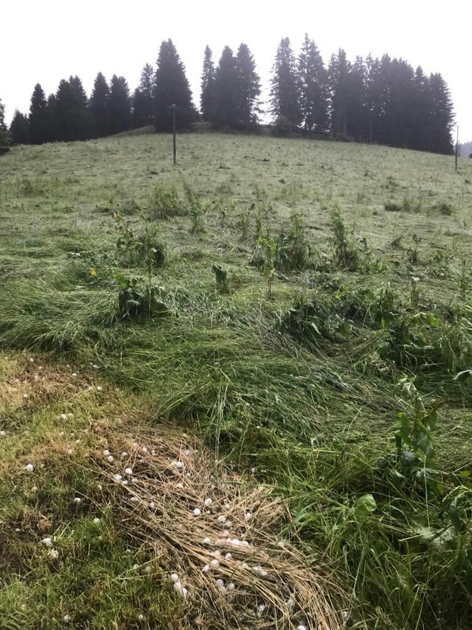 Die Hagel-Schäden am Freitag sind enorm.