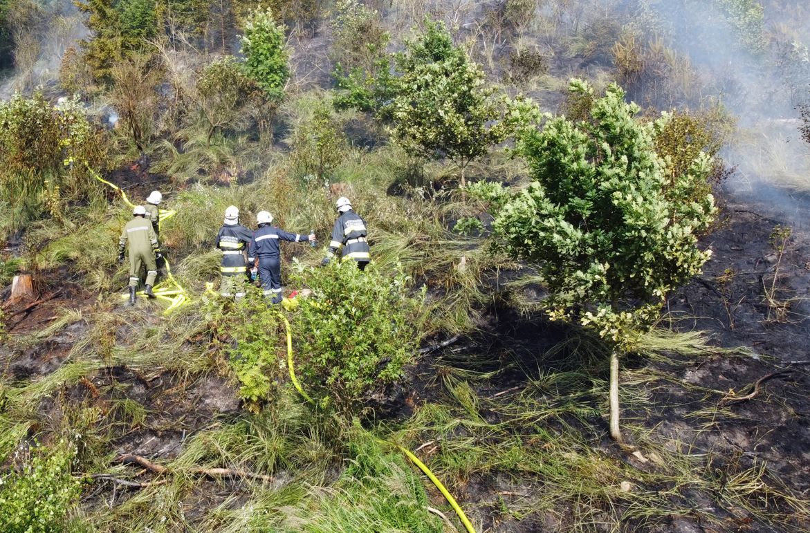 100 Florianis standen im Einsatz.