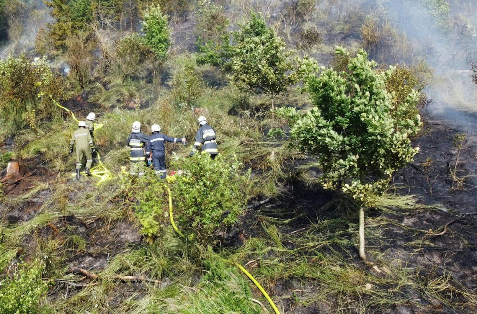 Waldbrand-Verordnung gilt in NÖ schon in 7 Bezirken