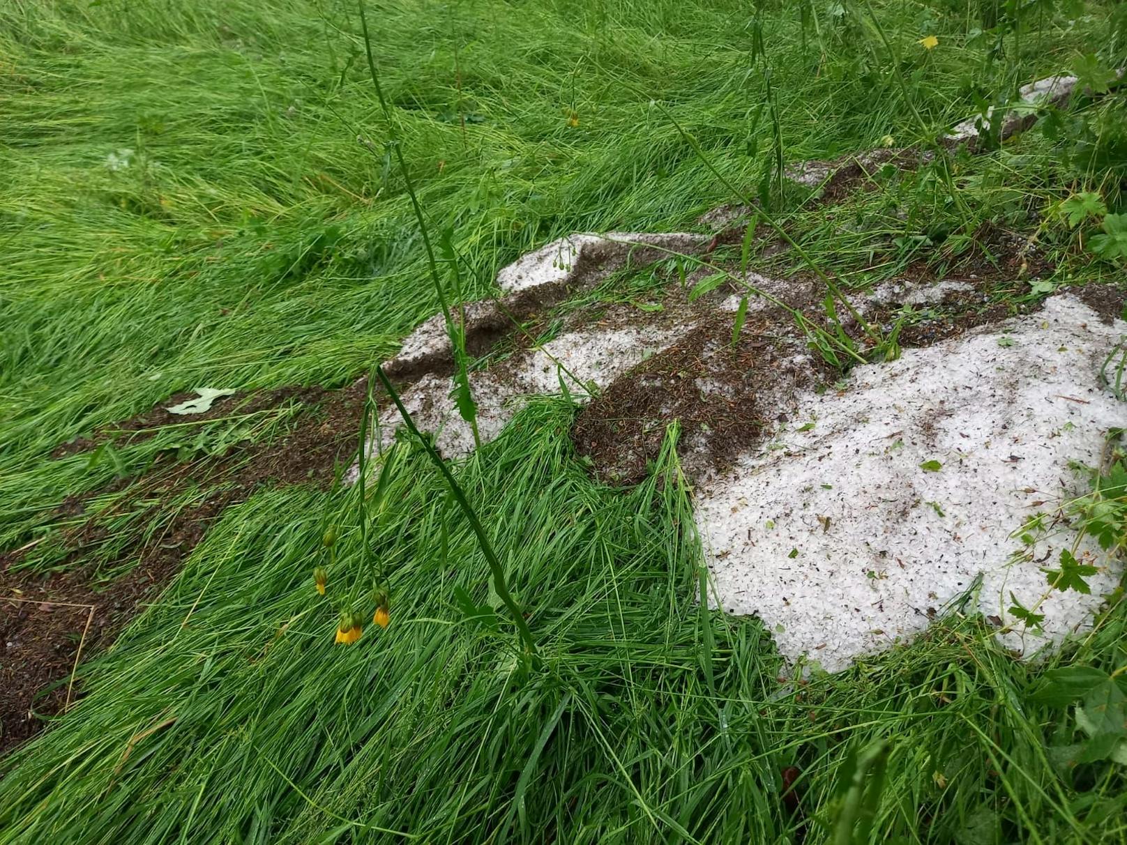 Die Hagel-Schäden am Freitag sind enorm.