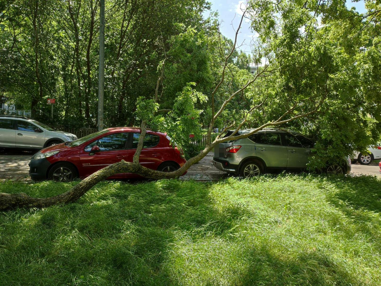 Eine erhöhte <a target="_blank" data-li-document-ref="100277981" href="https://www.heute.at/g/erhoehte-gewitter-warnung-fuer-oesterreich-ausgerufen-100277981">Gewitter-Warnung für Österreic</a>h wurde bereits ausgerufen.