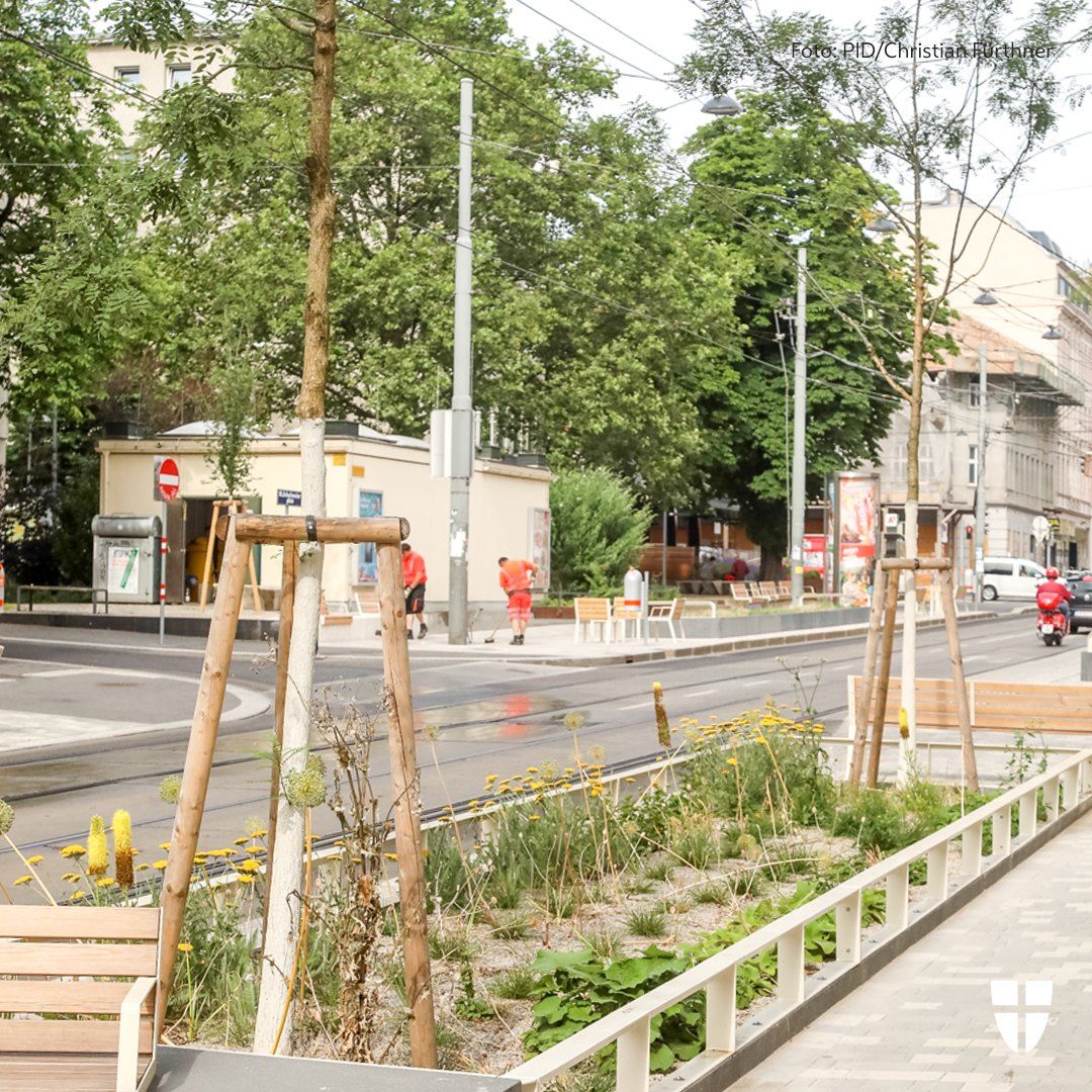 Der Julius-Tandler-Platz soll umgestaltet werden: Nach einer Bürgerbeteiligung im Vorjahr geht es nun in die Planung.&nbsp;