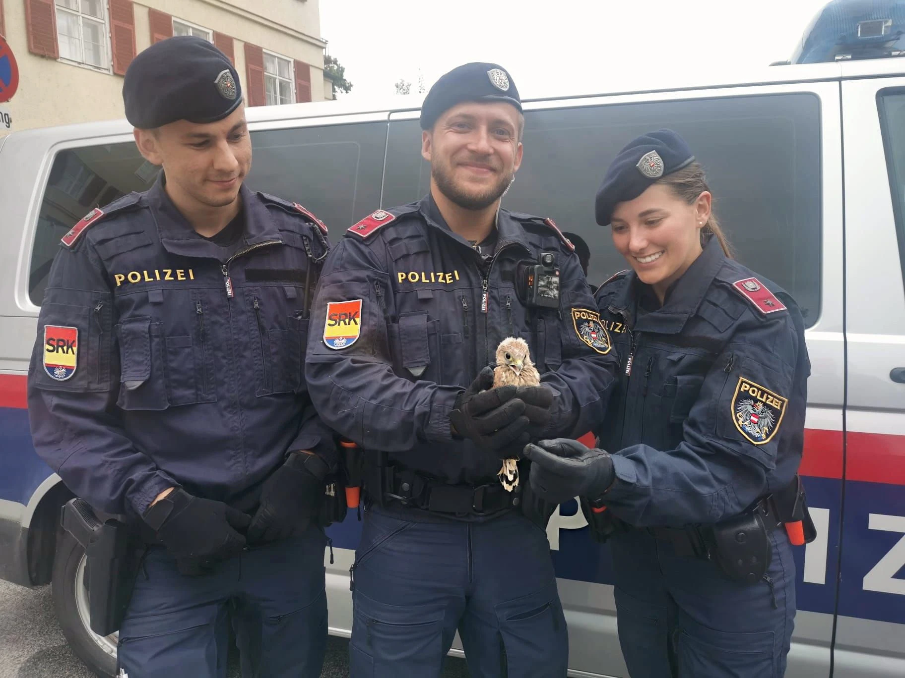 Der flugunfähige Jungvogel wurde von den Beamten gerettet.
