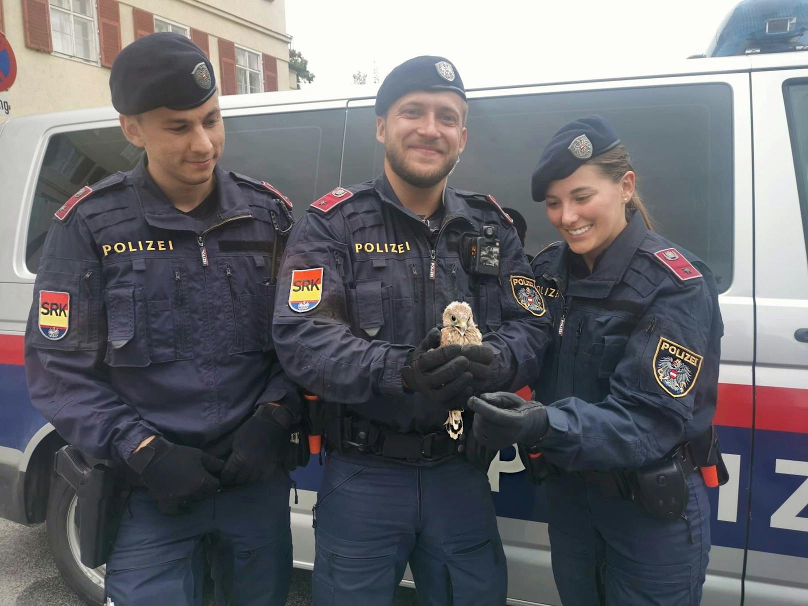 Polizei rettet verunfallten Jungfalken in Eisenstadt