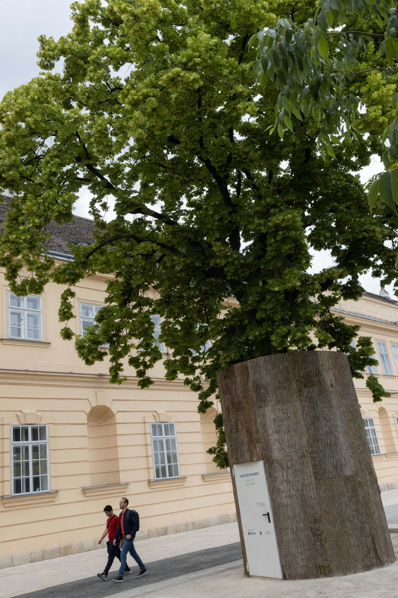 Heute.at - Darum steht vor dem Museumsquartier nun ein Baumhaus