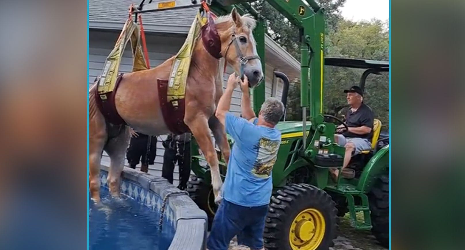 Reinspringen gelang dem Wallach noch ganz gut, doch wieder raus musste die Feuerwehr mit einem Traktor helfen.