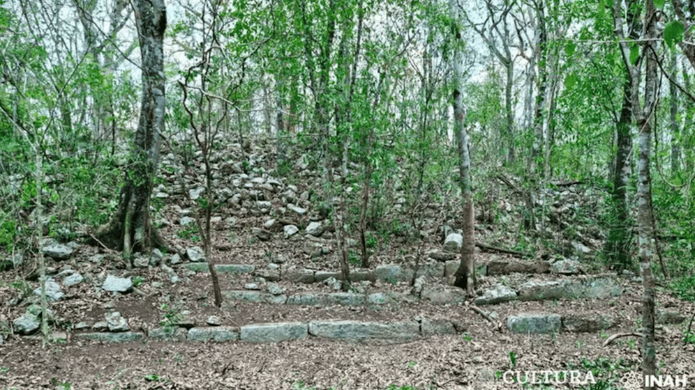 Forscher haben tief im mexikanischen Regenwald einen Sensationsfund gemacht: eine bisher unbekannte Maya-Stadt.