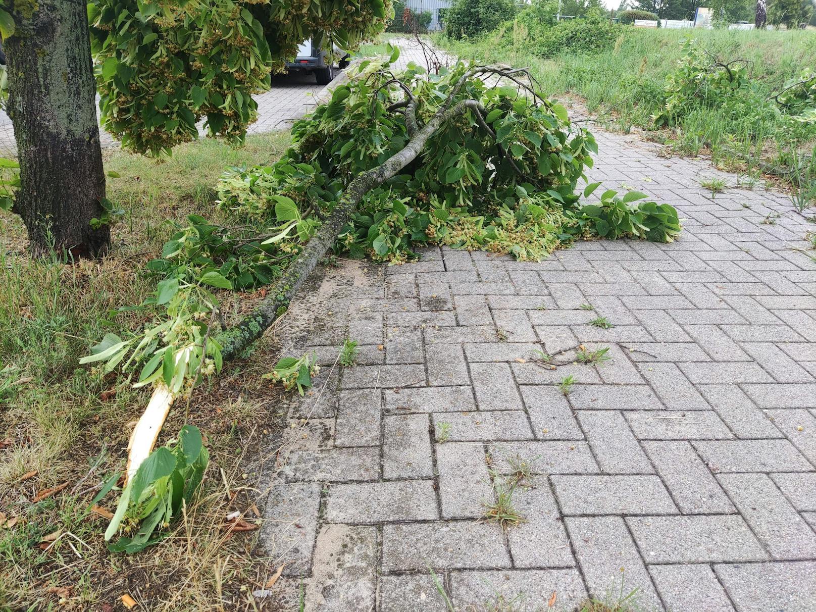 Ein Starkregen-Unwetter hat am 26. Juni 2023 Teile Berlins unter Wasser gesetzt.