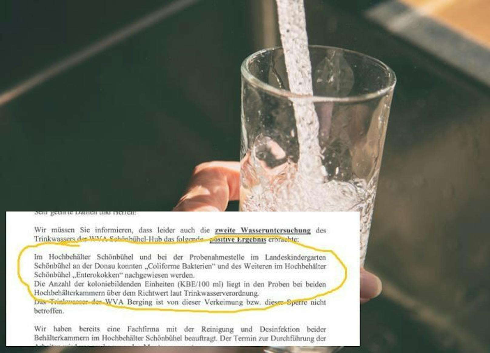 Im Trinkwasser in Schönbühel-Hub wurden Coliforme Bakterien und Enterokokken nachgewiesen. Auch in Ernstbrunn musste die EVN warnen.