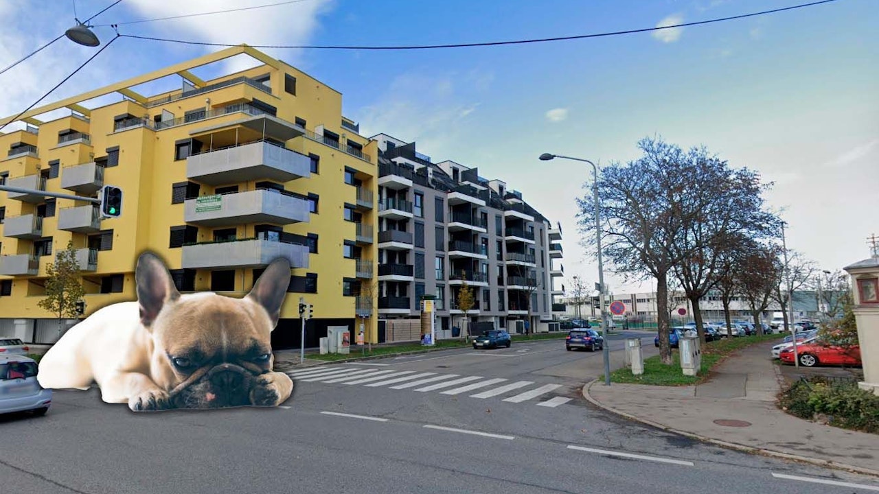 Heute.at - Hund nach Balkon-Wurf tot – keine Strafe für den Täter