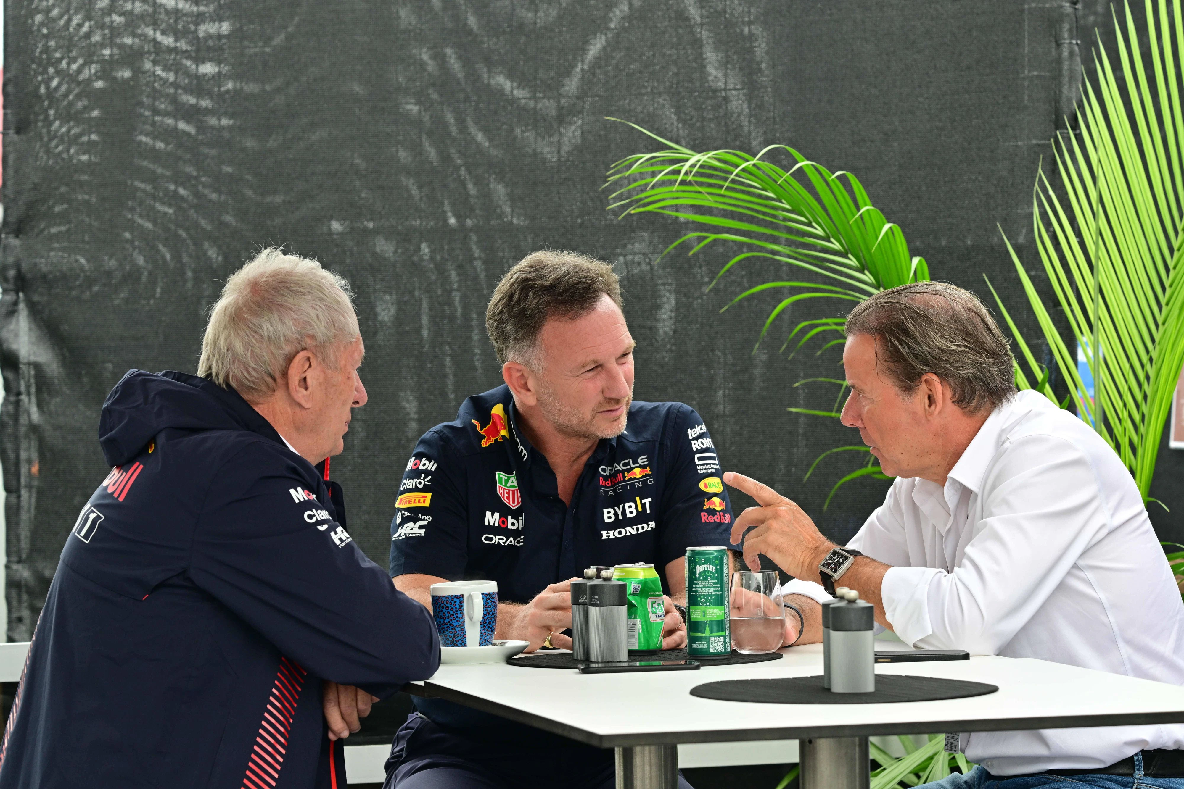 Christian Horner war nicht begeistert, als Nyck de Vries engagiert wurde. 