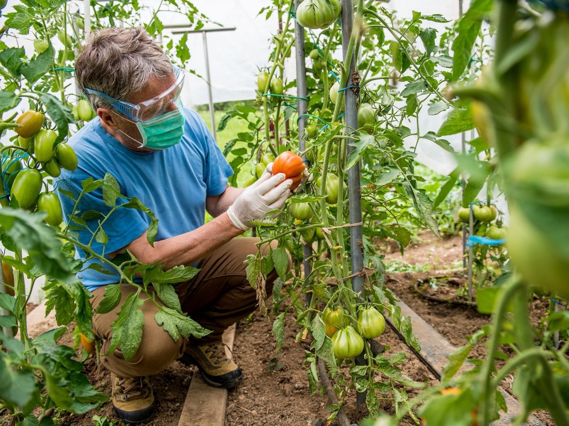 "Die Entwicklung der Gen-Editierung mit der "Genschere" ist ein Meilenstein der Wissenschaftsgeschichte", heißt es von den Experten.