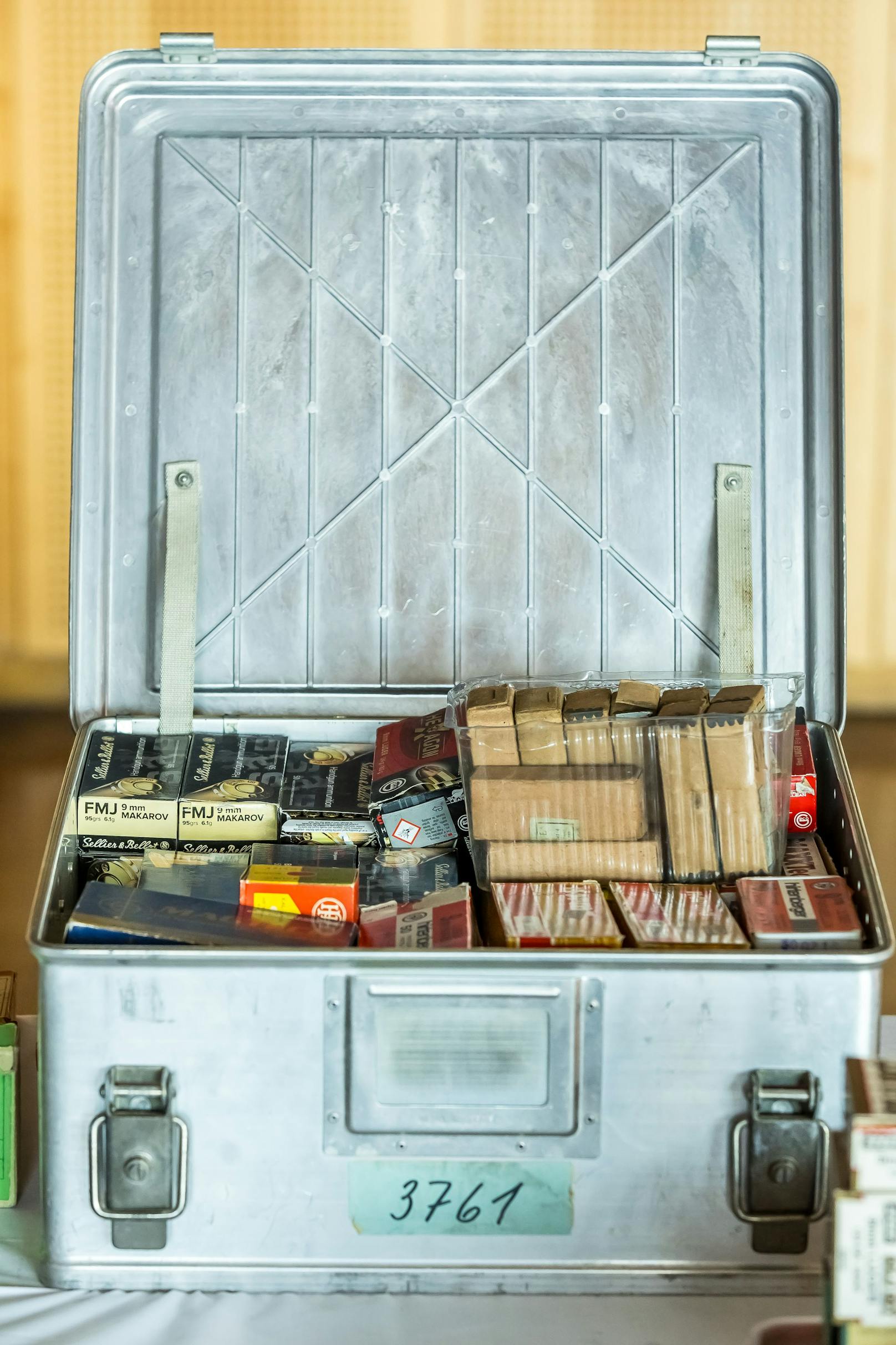 In Österreich wurden sechs Mitglieder einer rechtsextremen Rockergruppe festgenommen. Bei Hausdurchsuchungen entdeckten Ermittler ein Waffenarsenal.