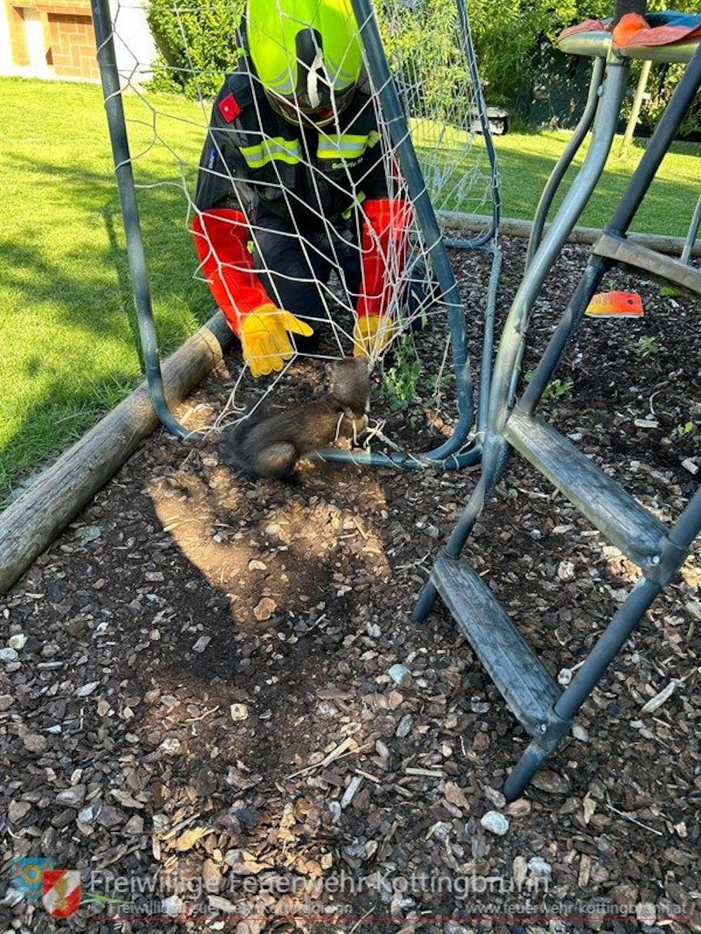Die Feuerwehr Kottingbrunn half dem kleinen Marder aus der Patsche.