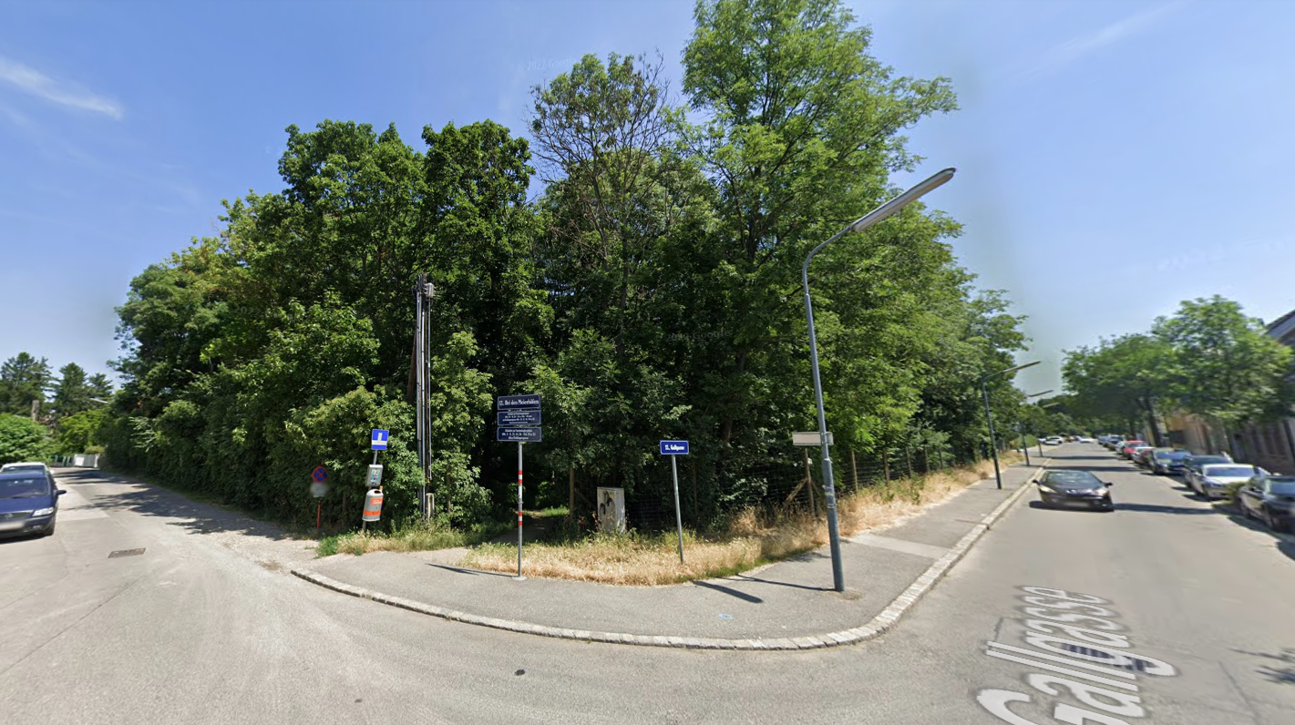 In Hietzing wird aktuell eine Debatte über 500 Bäume geführt.