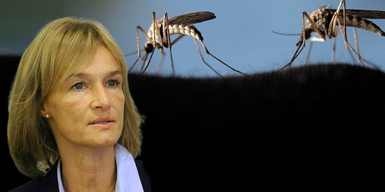 Wet Weather in Austria Leads to Surge in Mosquitoes and Increased Risk