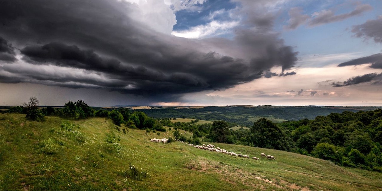 Changeable Summer Weather Forecast for Austria: Front System from Tief OTTO Brings Showers and Thunderstorms