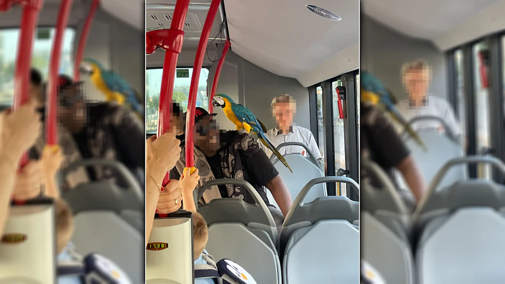 Ein eingespieltes Duo sorgte in einem Bus in Wien für 