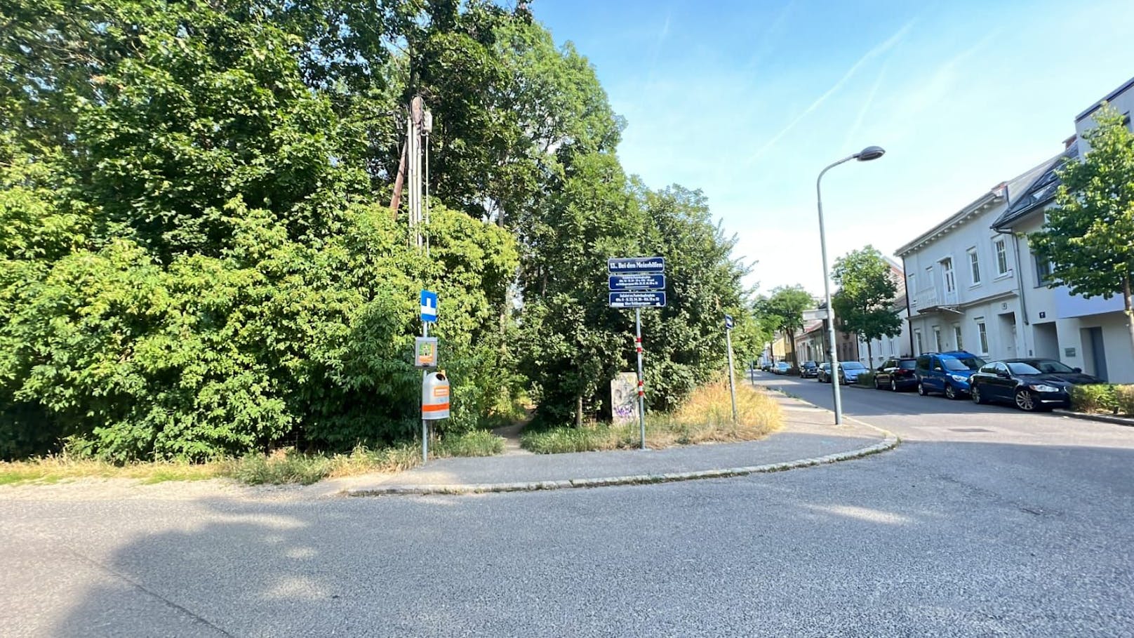 Die MA49 soll die Bäume fällen, Anrainer reagieren panisch auf die bevorstehende Fällung.