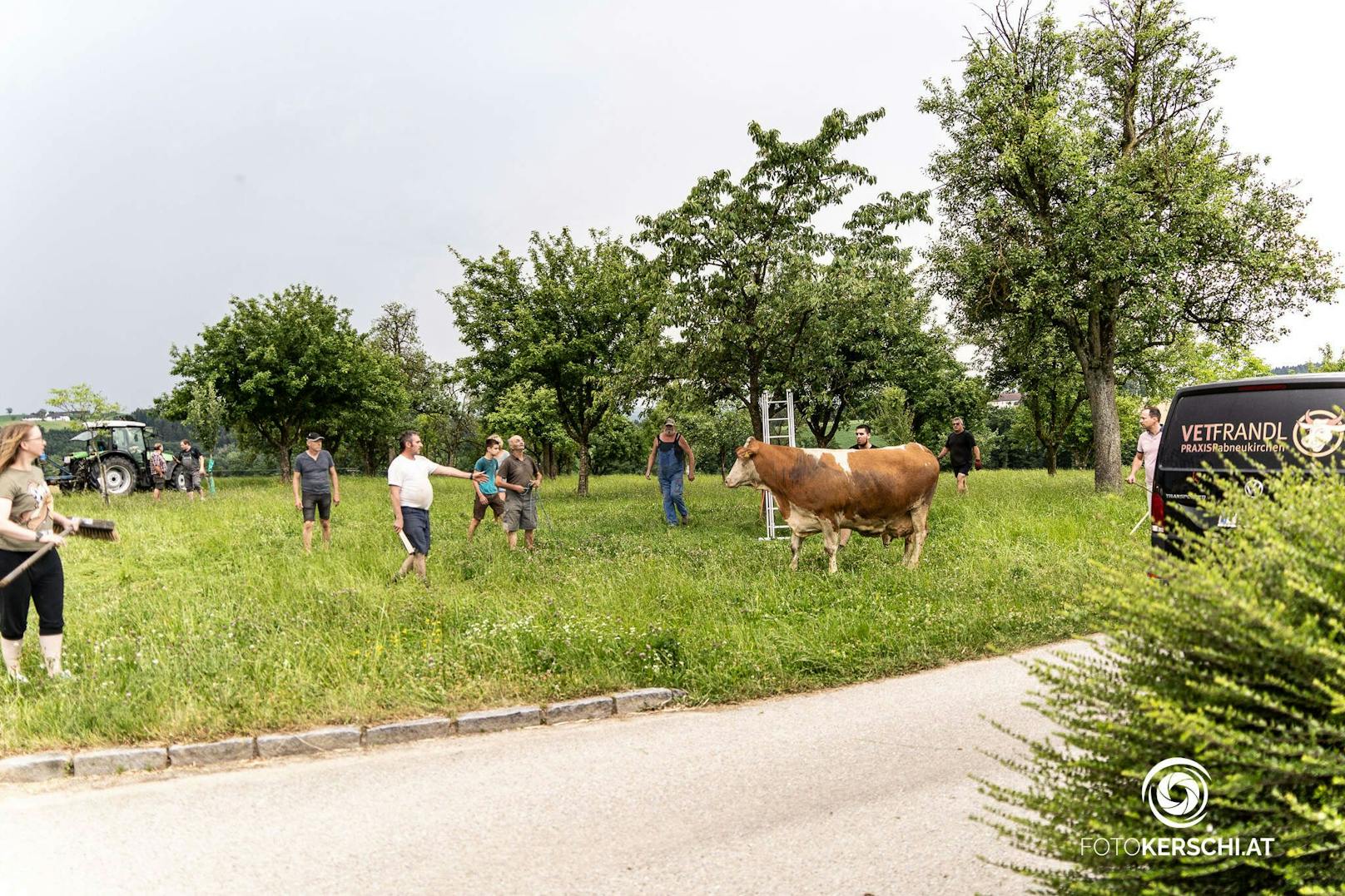 Am späten Freitagnachmittag wurden 18 Feuerwehren im Bezirk Perg zu einem Großeinsatz alarmiert, ein Bauernhof war in Brand geraten und brannte völlig nieder.