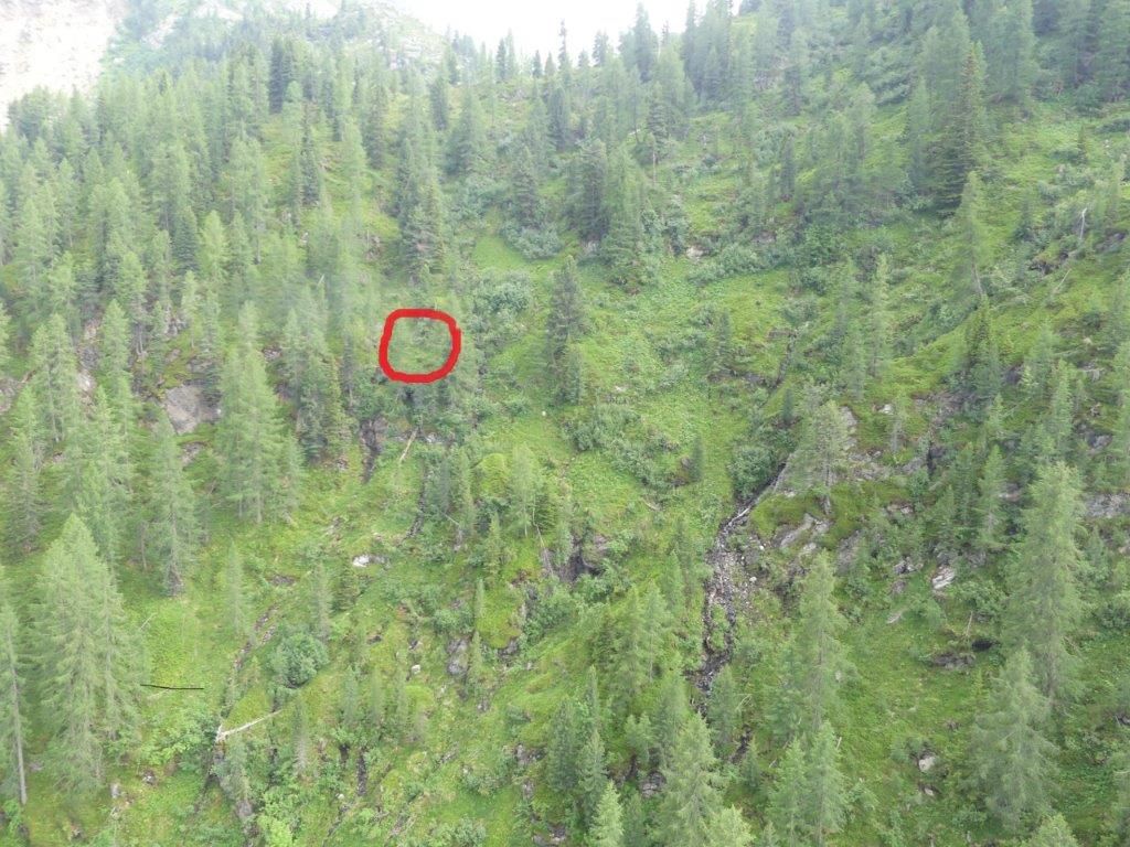 Der Mann konnte im steilen und weglosen Gelände auf einer Seehöhe von 1.800 Meter ausfindig gemacht werden.