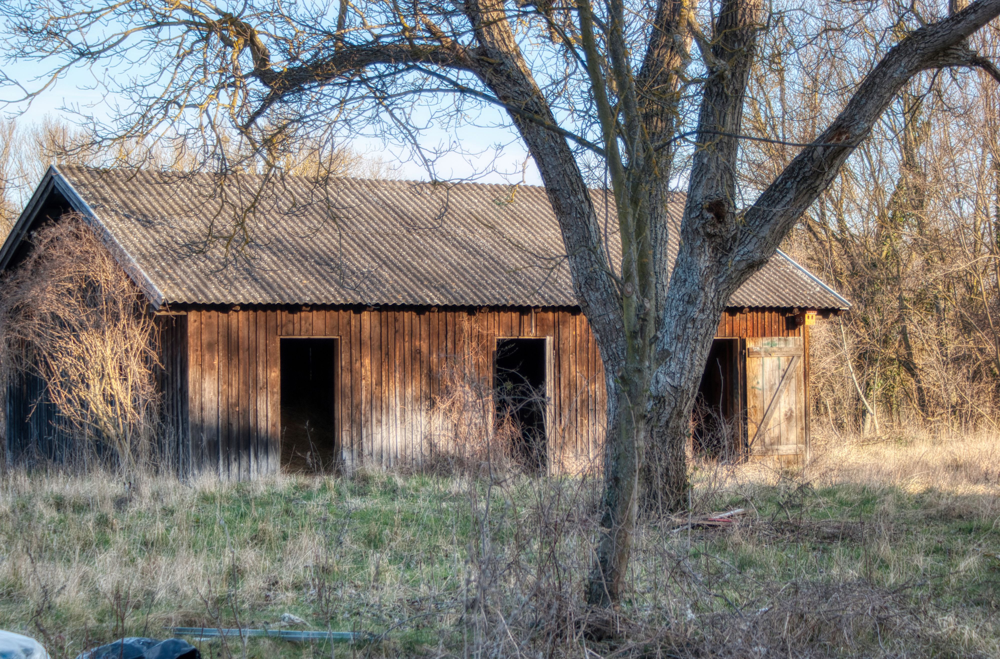 Die Frau fiel in eine Güllegrube. (Symbolbild)