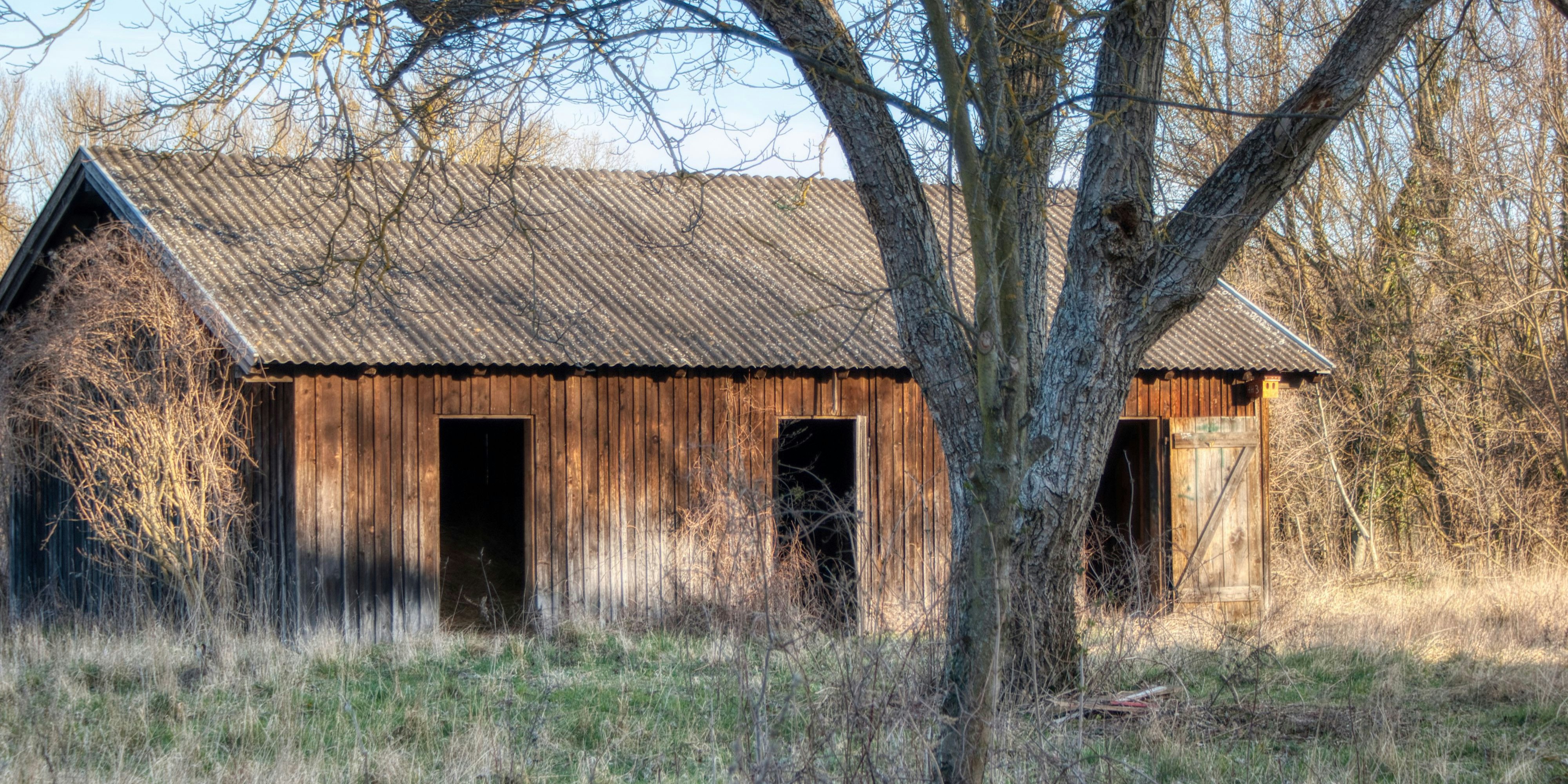 Die Frau fiel in eine Güllegrube. (Symbolbild)