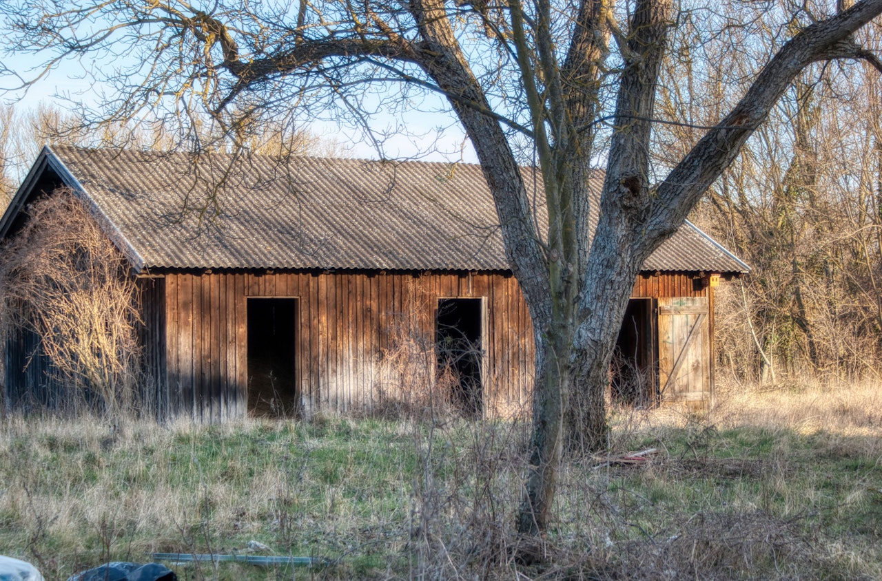 Heute.at - Schock-Fund: Sohn entdeckt Mutter tot in Jauchegrube