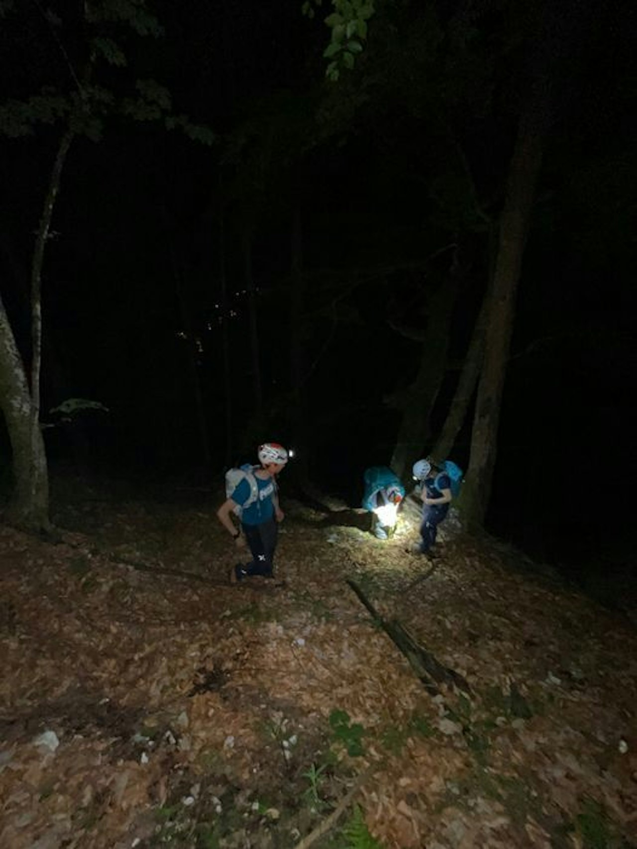 Heute.at - Gmundner schreibt Ehefrau SMS vom Gipfel – und stirbt