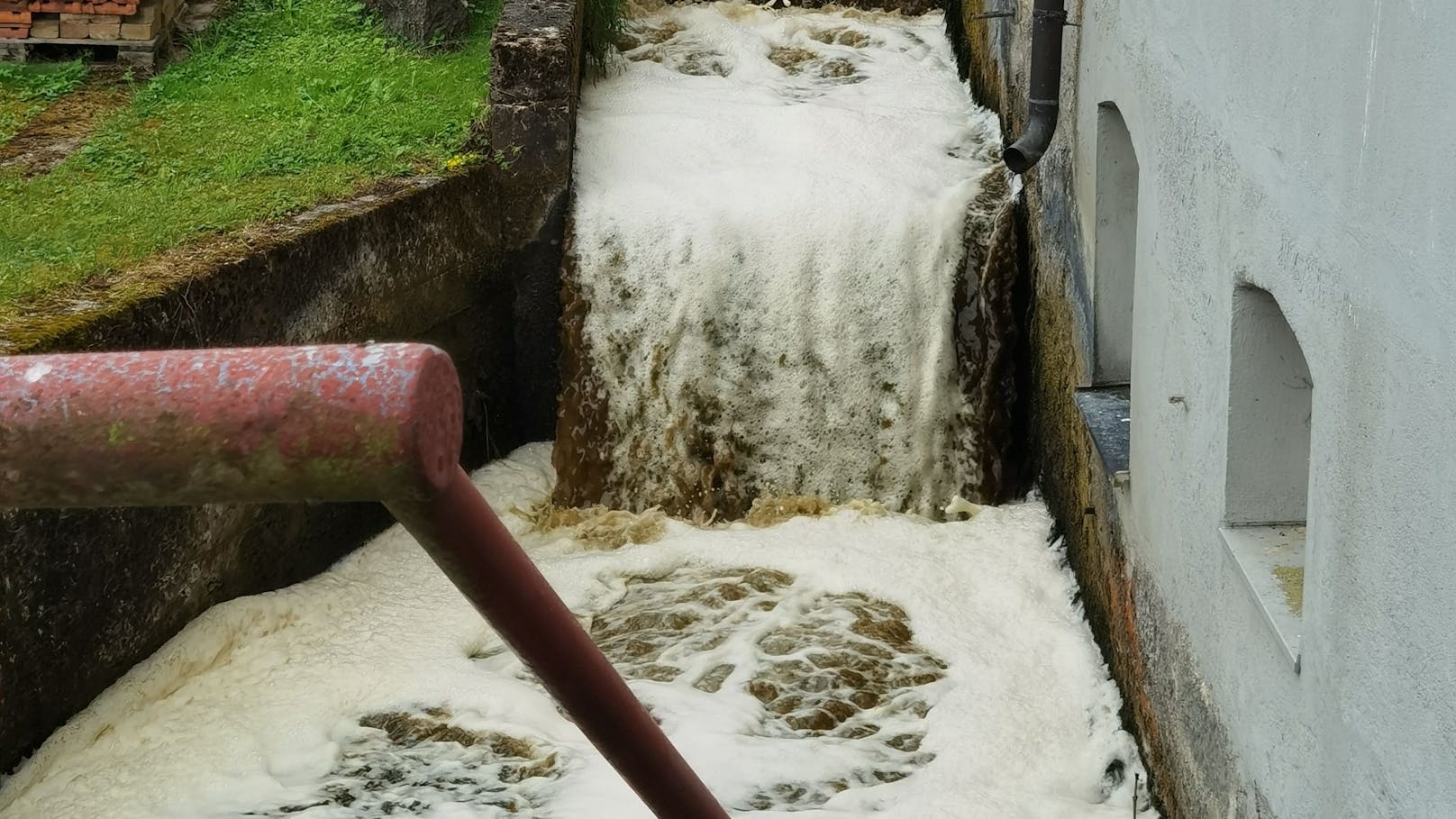 Die Gülle verseuchte zuerst den Mühlbach und danach die Antiesen. Ein Teil des Flusses ist so gut wie tot.